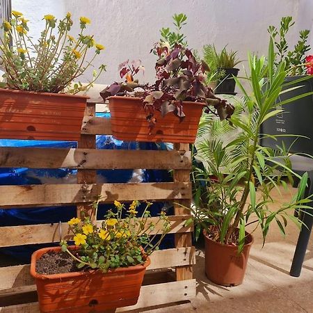 Estancia De Ensueno Y Relax Parking Gratuito Granada Ngoại thất bức ảnh