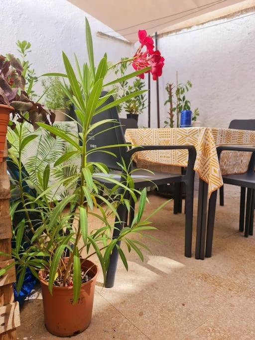 Estancia De Ensueno Y Relax Parking Gratuito Granada Ngoại thất bức ảnh