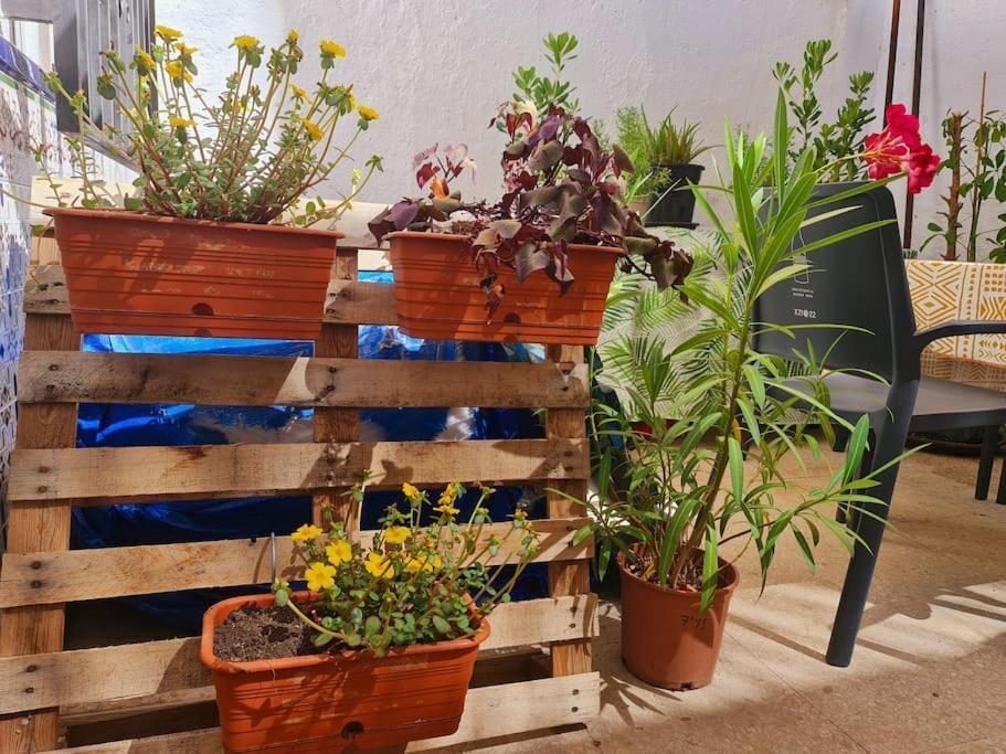 Estancia De Ensueno Y Relax Parking Gratuito Granada Ngoại thất bức ảnh