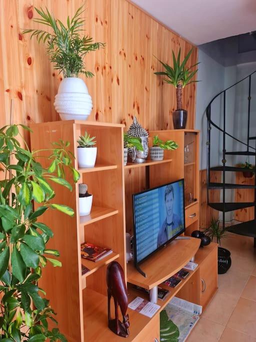Estancia De Ensueno Y Relax Parking Gratuito Granada Ngoại thất bức ảnh